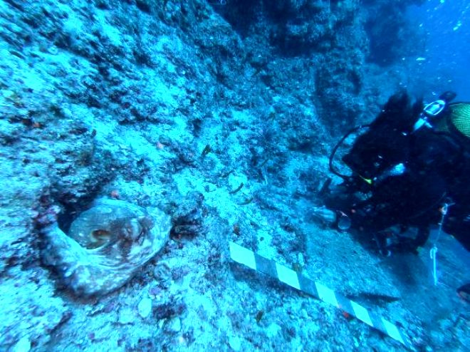 Antalya'da bulunan 3 bin 600 yıllık gemide çalışmalar başladı! Dünyanın en eski batığı