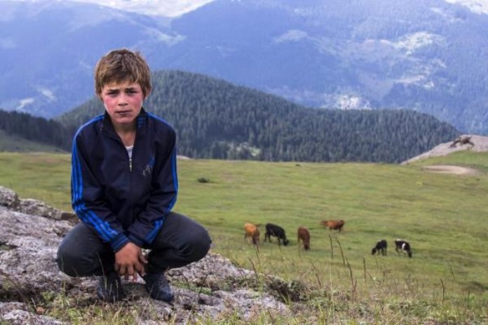 Teröristlerin Eren Bülbül'ün Evinden Çaldığı Eşyalar Sığınakta Bulundu